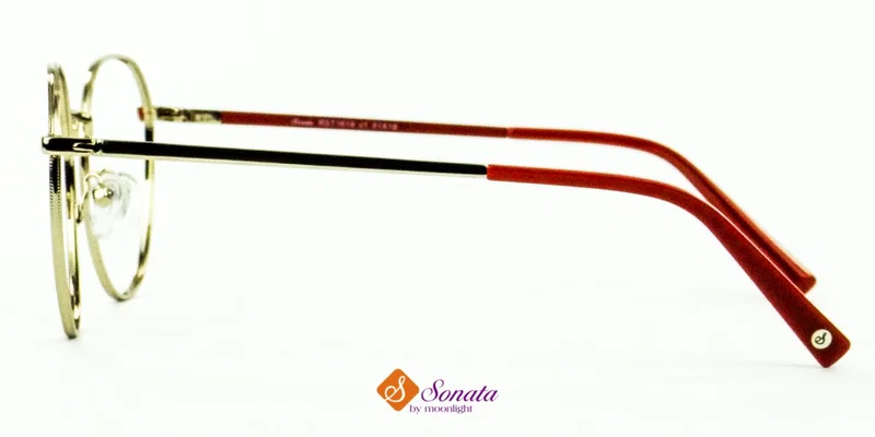 Detaliu ramă completă din metal RST 1619 c1 Sonata