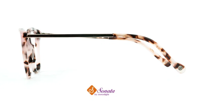 Detaliu ramă completă din plastic XST 1685 c2 Sonata