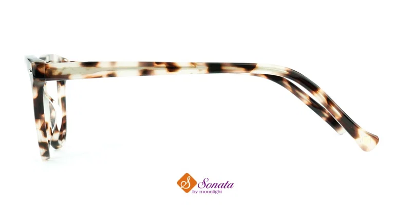 Detaliu ramă completă din plastic TWST 1809 c1 Sonata