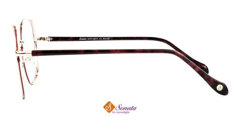 Detaliu ramă integrală RST 1824 c2 Sonata