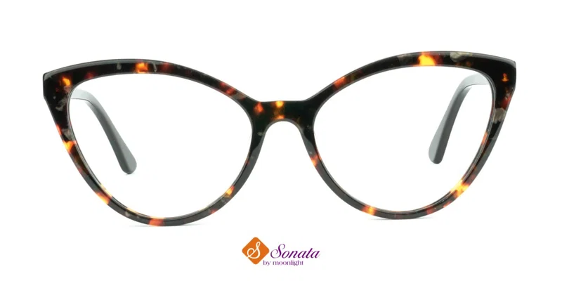 Detaliu ramă BLST 2626 c3 Sonata din plastic, culoare maro