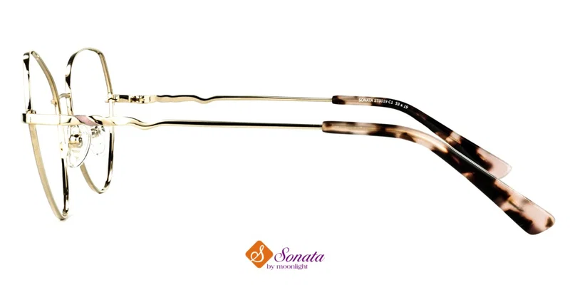 Detaliu al ramei complete ST 0019 c1 Sonata