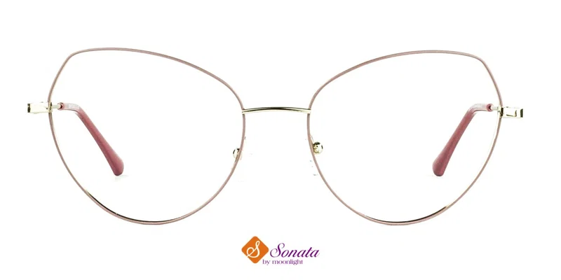 Ramă metalică integrală ST 0019 c5 Sonata, detaliu