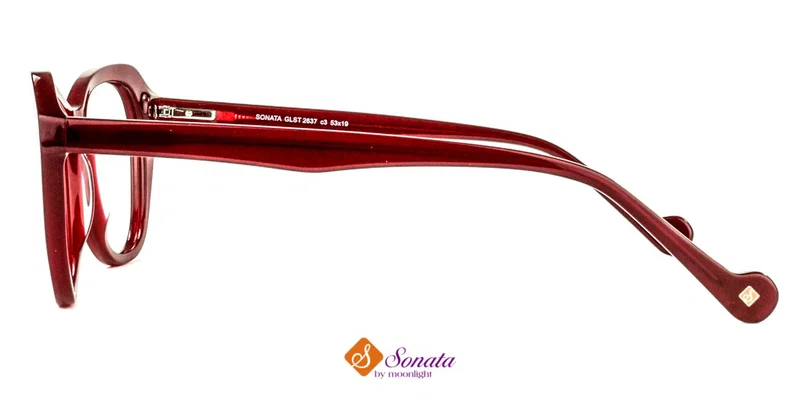 Detaliu ramă GLST 2637 c3 Sonata din plastic, montură integrală