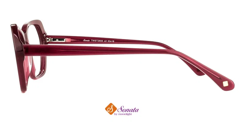 Detaliu ramă completă din plastic TWST 2655 c2 Sonata