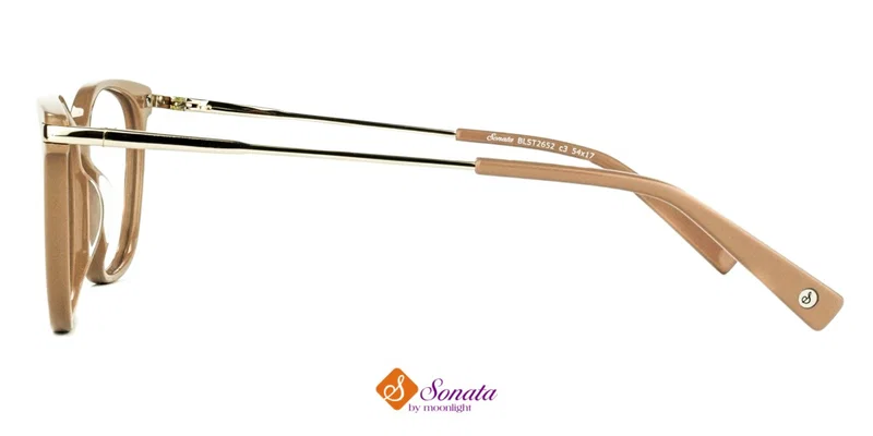 Detaliu ramă integrală din plastic BLST 2652 c3 Sonata