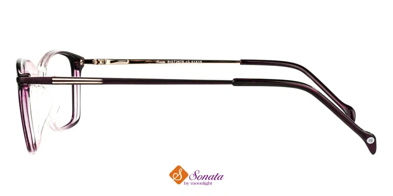 Detaliu rame BIST 2678 c3 Sonata din plastic