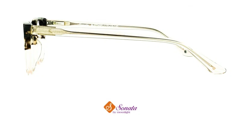 Detaliu ramă de vedere BLST 2695 c1 Sonata în nuanțe bej și maro