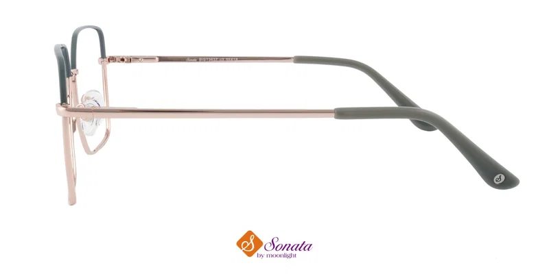 Detaliu rame metalice BIST 3637 c3 Sonata