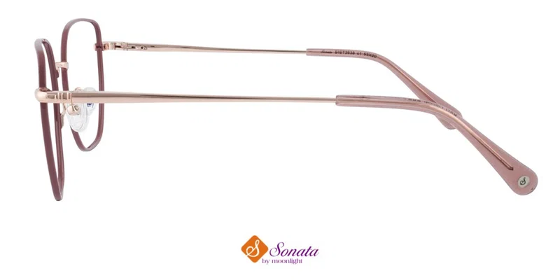 Detaliu ramă metalică integrală BIST 3638 c1 Sonata