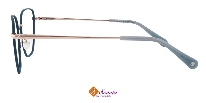 Brațul ramei de ochelari BIST 3638 c3 Sonata
