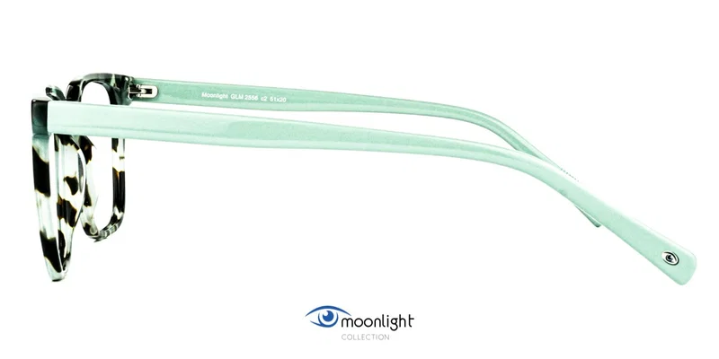 Ochelari GLM 2556 c2 Moonlight, detaliu ramă verde