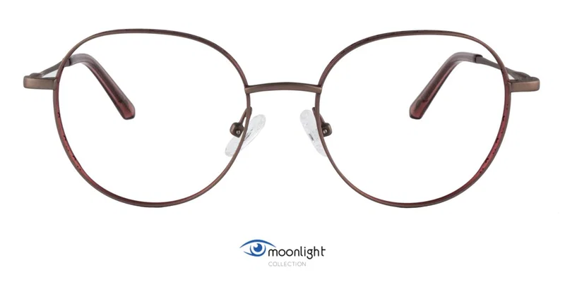Detaliu ramă completă din titan BIM 3394 c2 Moonlight