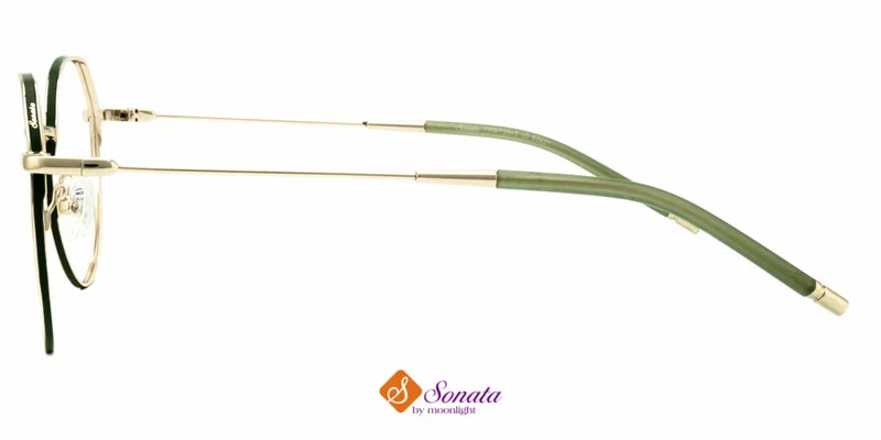 Detaliu rame ochelari TWST 3645 c3 Sonata
