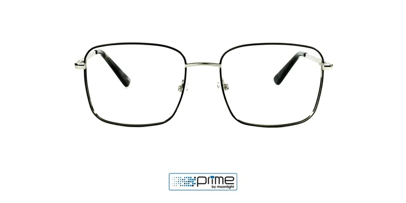 Detaliu lateral al ramelor metalice P 0033 c1 Prime