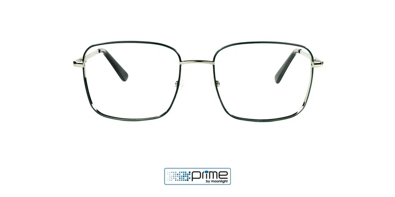 Detaliu rame de vedere P 0033 c2 Prime