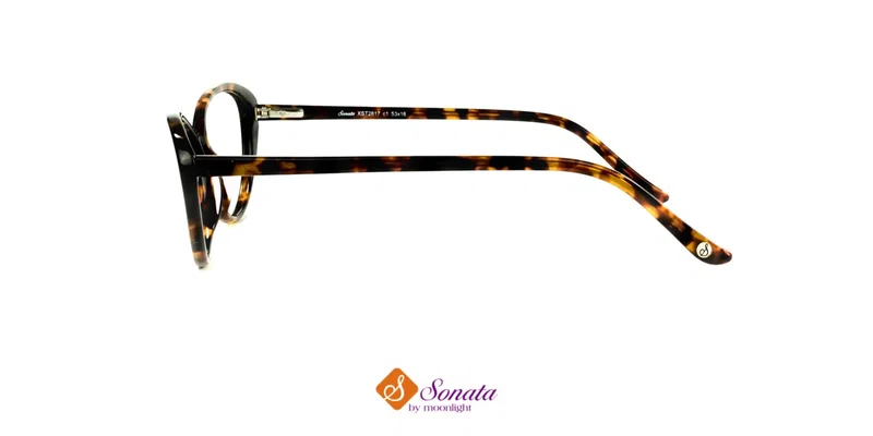 Detaliu ramă completă din plastic XST 2817 c1 Sonata