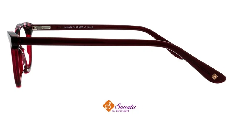 Detaliu ramă full rim din plastic GLST 3660 c3 Sonata