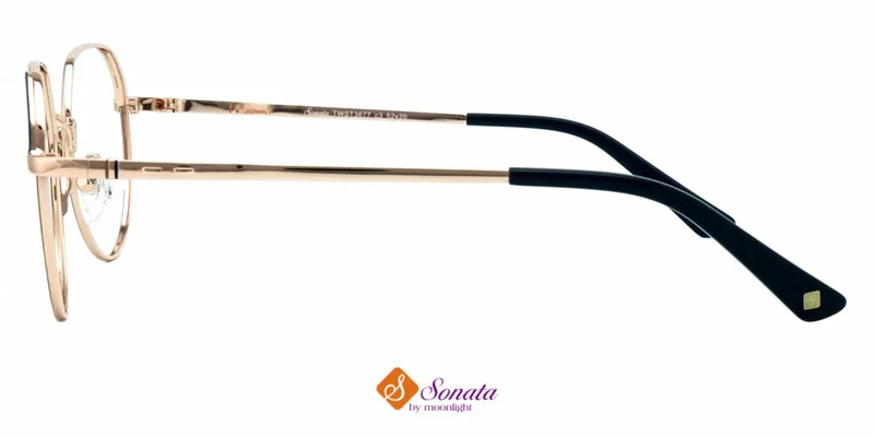 Detaliu ramă integrală TWST 3677 c3 Sonata, model maro și bleumarin