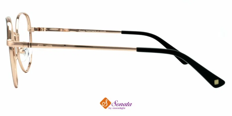 Detaliu ramă metalică TWST 3679 c1 Sonata