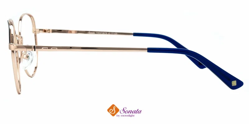 Detaliu ramă completă TWST 3679 c2 Sonata din metal