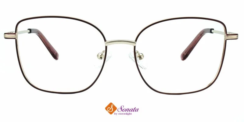 BIST 3683 c3 Sonata – vedere frontală a ramei complete
