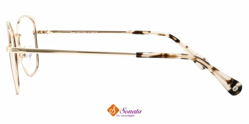 Detaliu ramă completă BIST 3684 c3 Sonata