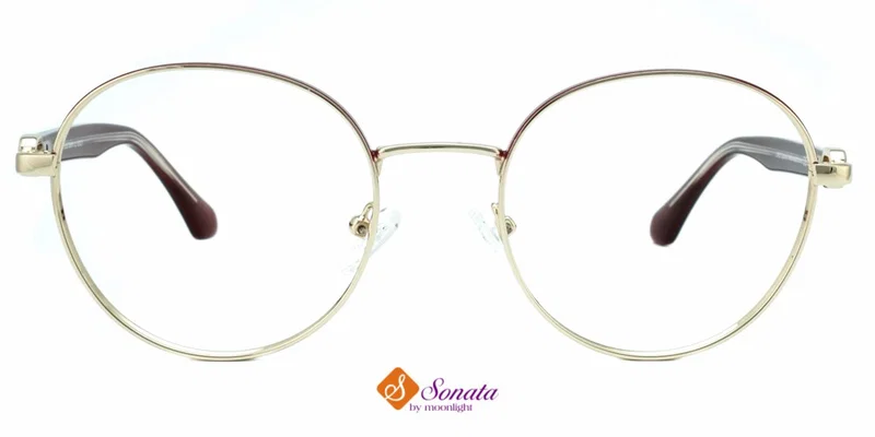 Vedere frontală a ramei metalice BIST 3685 c2 Sonata