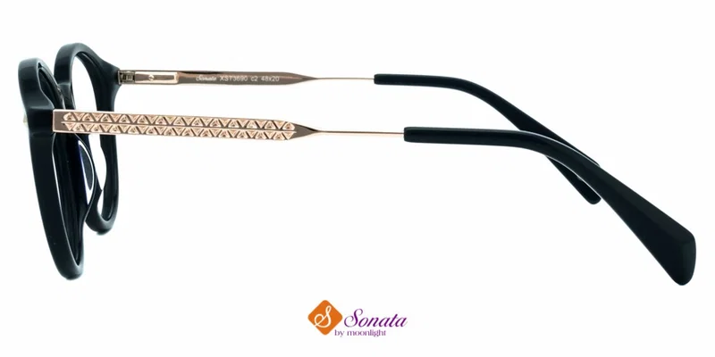 Detaliu ramă plastic XST 3690 c2 Sonata