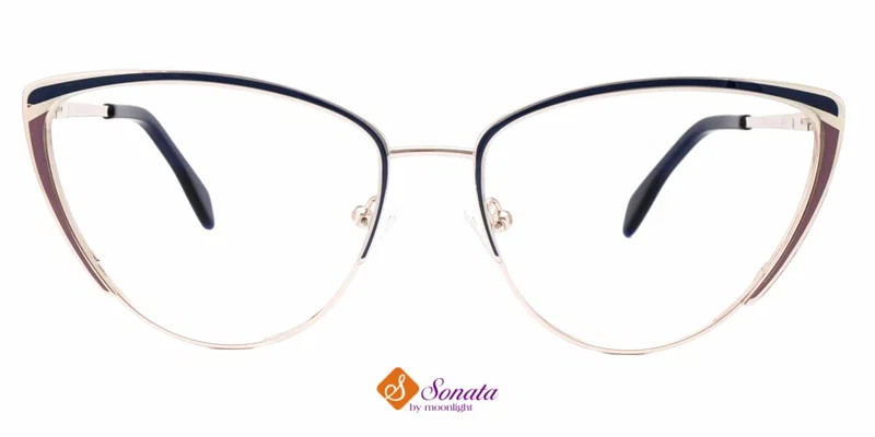 BIST 3696 c2 Sonata – vedere frontală, ramă metalică completă