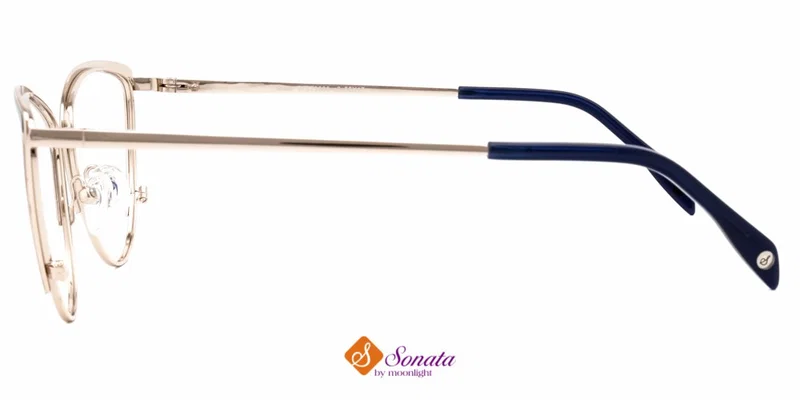 Detaliu ramă de ochelari BIST 3696 c2 Sonata