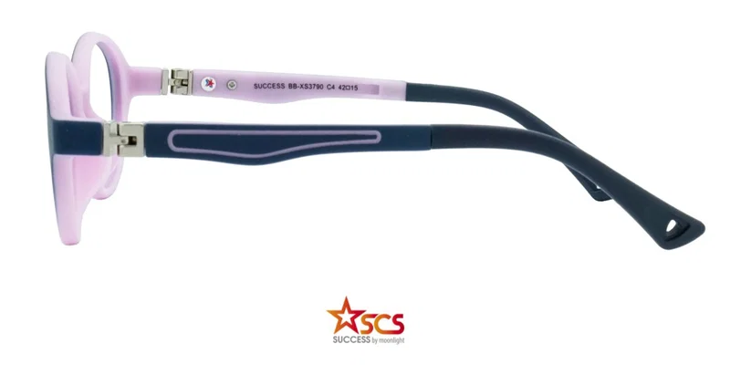 Detaliu ramă de ochelari BB XS 3790 c4 Success cu montură integrală