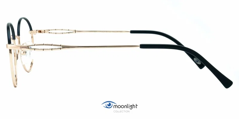 Detaliu ramă TYM 3536 c2 Moonlight, montură integrală