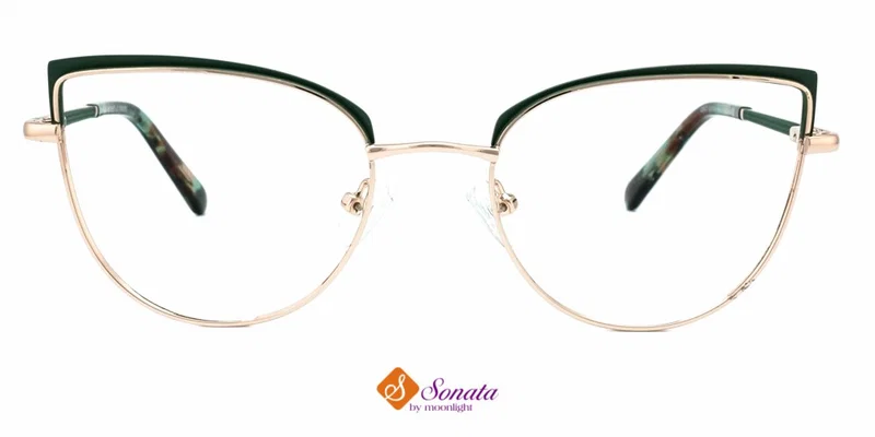 Detaliu ramă RST 3827 c2 Sonata cu montură completă din metal
