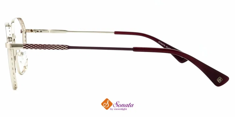Ochelari GLST 3831 c2 Sonata cu ramă completă, detaliu