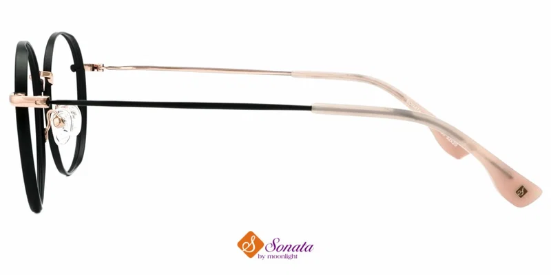 Detaliu ramă metalică GLST 3833 c3 Sonata
