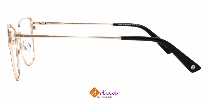 Detaliu ramă ochelari BIST 3835 c1 Sonata, model negru și maro