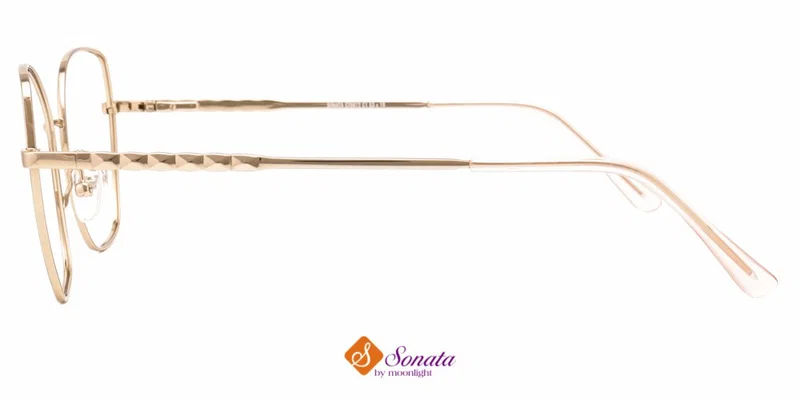 Detaliu rame metalice ST 0072 c1