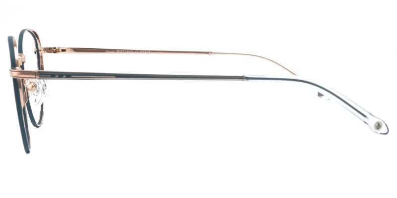Profil lateral rame BIST 4602 c2 Sonata