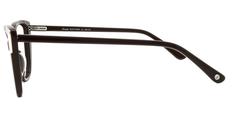 Detaliu rame BIST 4608 c2 Sonata din plastic