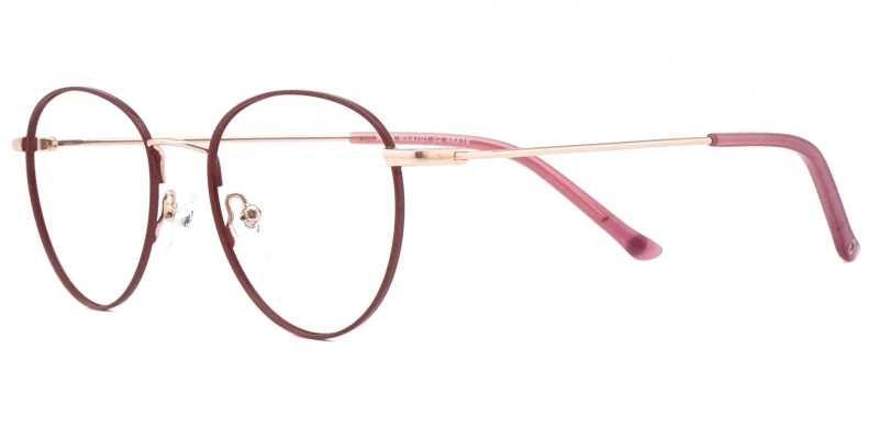 Rame de ochelari pentru copii RS 4701 c2 Success maro și auriu, vedere frontală