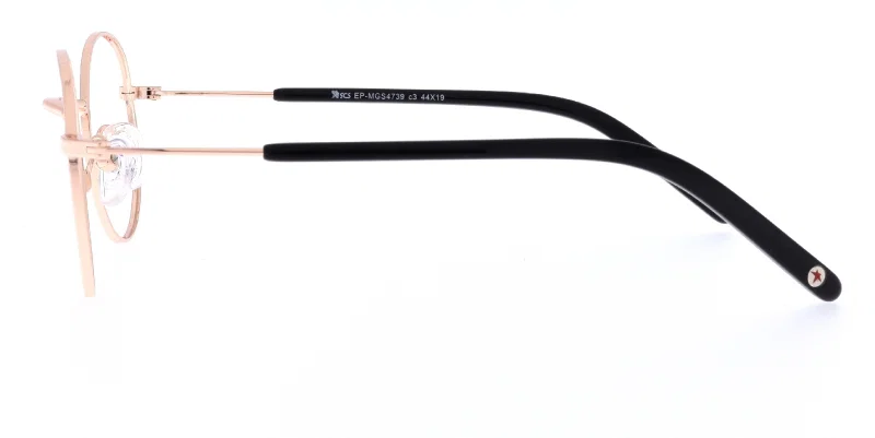 Detaliu rame de ochelari EP MGS 4739 c3 Success, culoare negru și auriu
