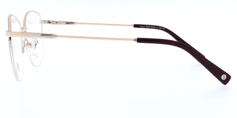 Detaliu rame BIST 4636 c2 Sonata cu design half rim
