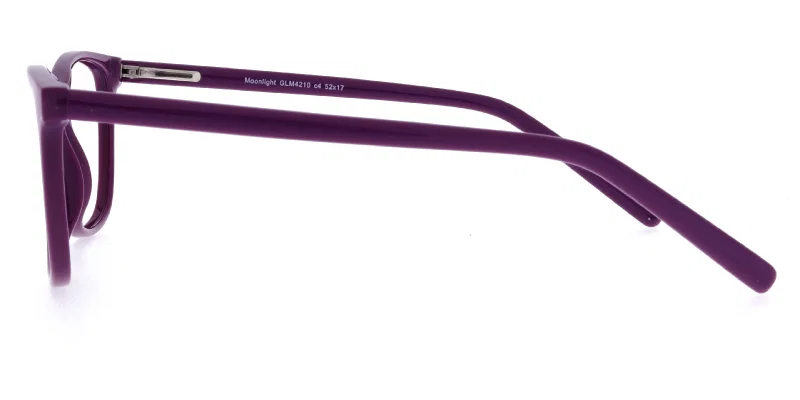 Detaliu ramă completă din plastic GLM 4210 c4 Simpleye