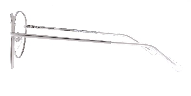 Detaliu ramă metalică argintie ST 0095 c3 Sonata