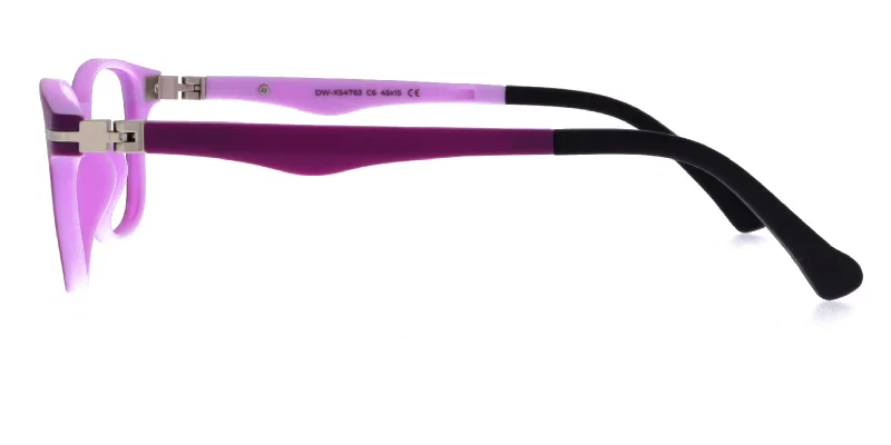 Detaliu ramă violet DW XS 4763 c6 Success