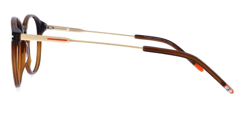 Model RM 4817 c3 Moonlight cu ramă full rim din plastic
