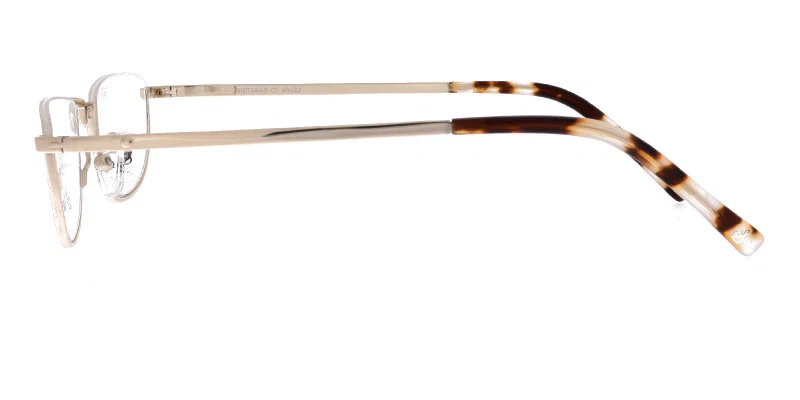 Detaliu rame de ochelari BIST Sonata 4649, culoare aurie