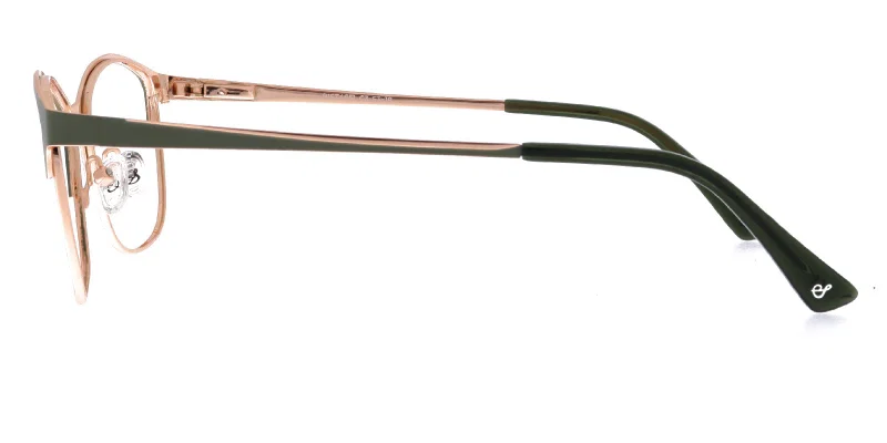 Detaliu ramă completă metalică BIST 4651 c3 Sonata