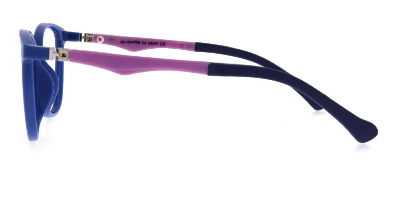 Detaliu ramă completă GC XS 4776 c4 Success